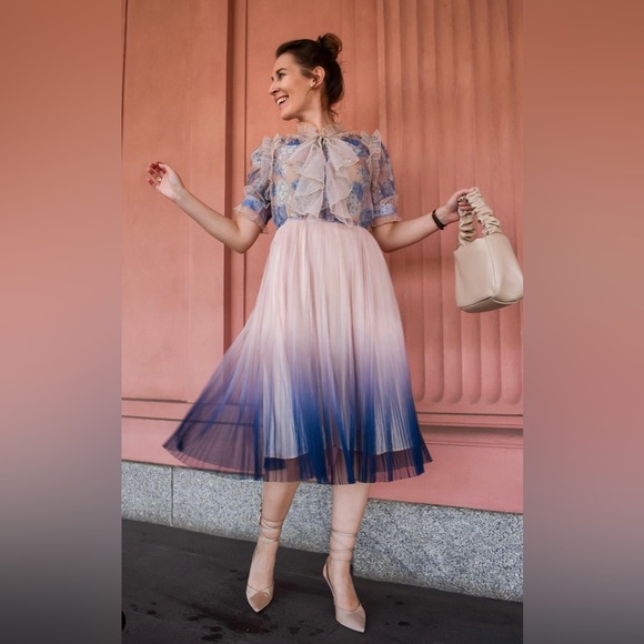 CHICWISH Size S/M - Gradient Mesh Tulle Pleated Dress - Picture 11 of 14